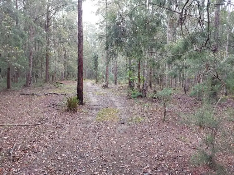 Main view of Homely rural property listing, 4 Chicks Road, Paluma QLD 4816