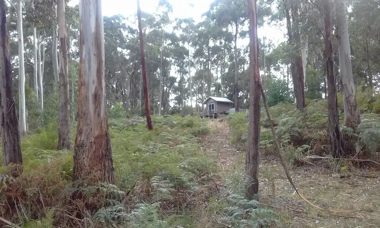 Second view of Homely rural property listing, 13a Lavers Hill-Cobden Road, Kennedys Creek VIC 3239