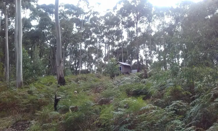 Third view of Homely rural property listing, 13a Lavers Hill-Cobden Road, Kennedys Creek VIC 3239