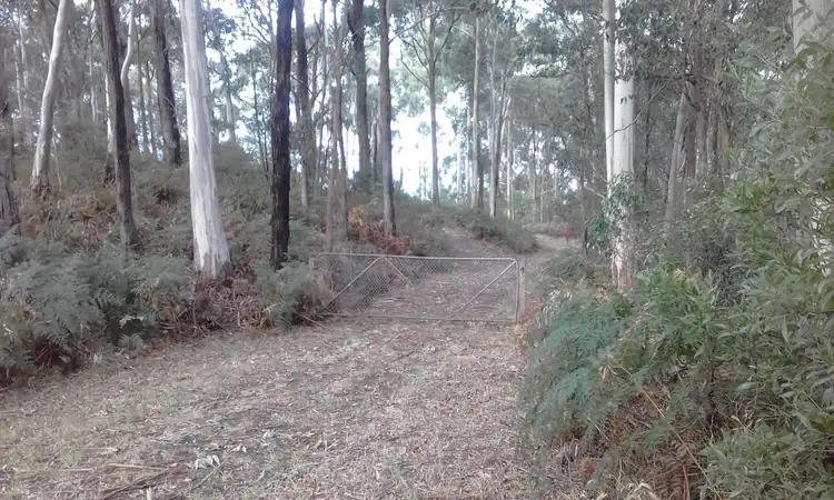 Sixth view of Homely rural property listing, 13a Lavers Hill-Cobden Road, Kennedys Creek VIC 3239