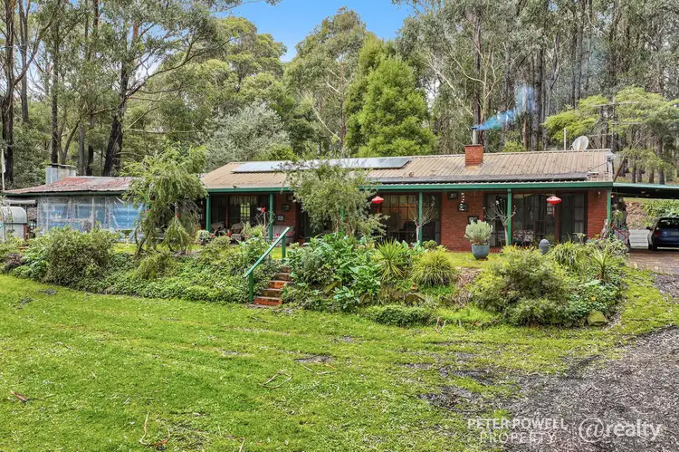 55 Blackwood Rise, Moe South VIC 3825