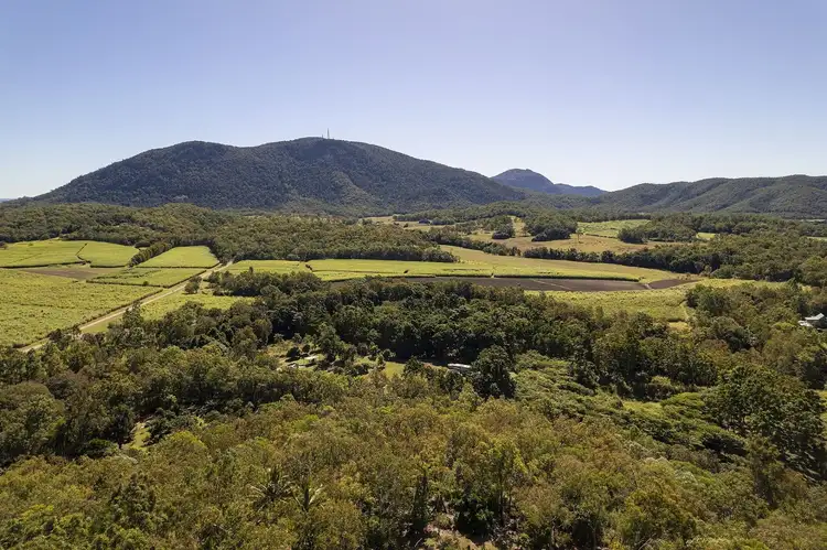 Third view of Homely rural property listing, 136 Zunkers Road, Hampden QLD 4741