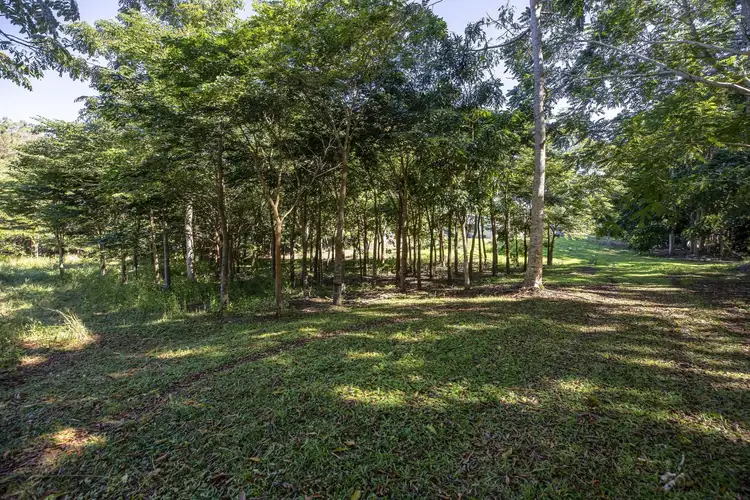 Seventh view of Homely rural property listing, 136 Zunkers Road, Hampden QLD 4741