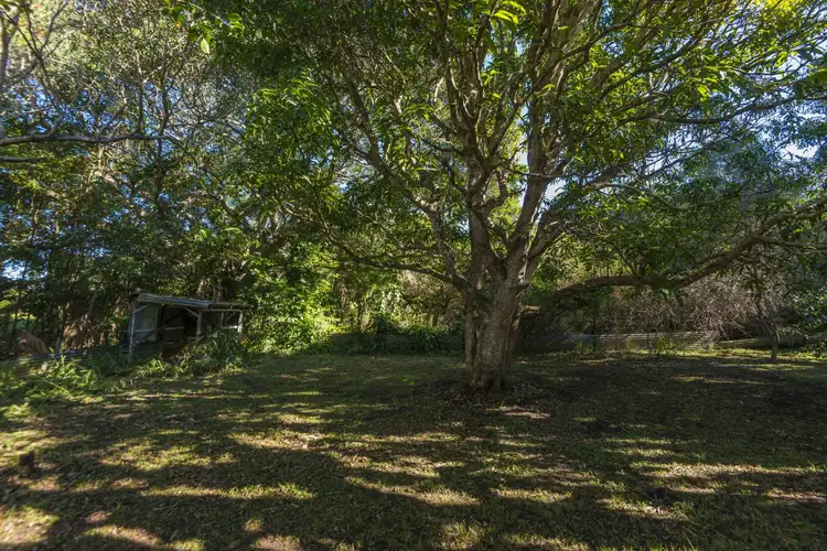 Fifth view of Homely house listing, 17 Dibbs Street, Coraki NSW 2471