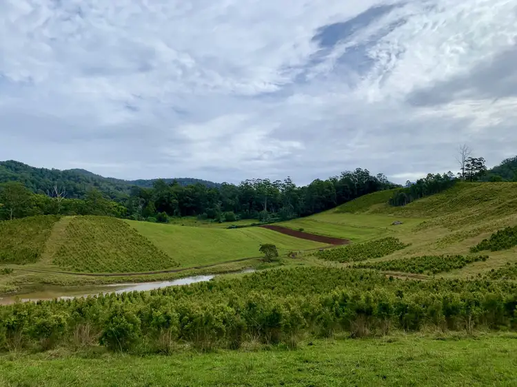 Main view of Homely rural property listing, 1756 North Arm Road, Argents Hill NSW 2449