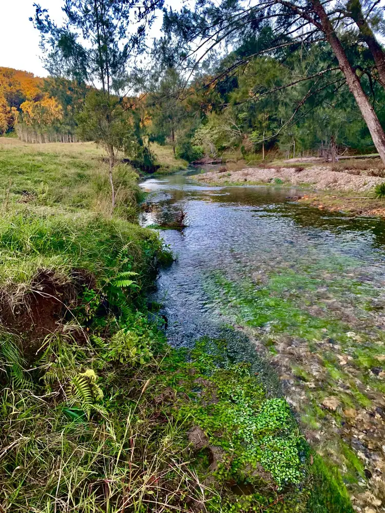 Fifth view of Homely rural property listing, 1756 North Arm Road, Argents Hill NSW 2449