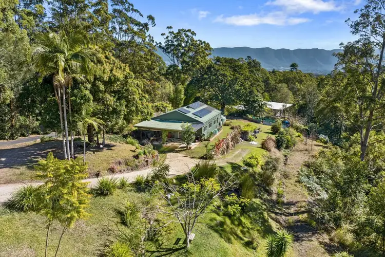 Second view of Homely rural property listing, 23/1283 Byrrill Creek rd, Brays Creek NSW 2484