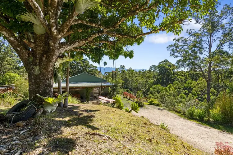 Third view of Homely rural property listing, 23/1283 Byrrill Creek rd, Brays Creek NSW 2484