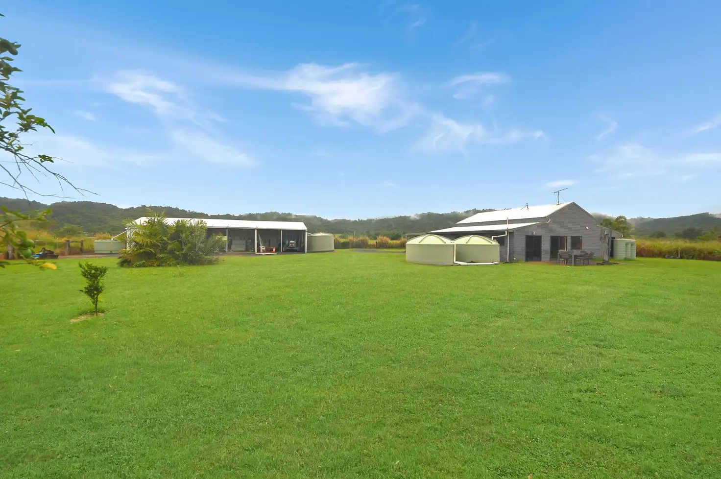 Main view of Homely rural property listing, 294 Mena Creek Road, Mena Creek QLD 4871