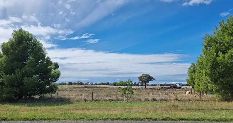 300 Calarie Road, Forbes NSW 2871