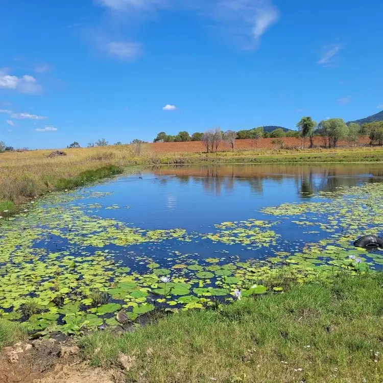 Third view of Homely rural property listing, Lot 2 Ironbark Ridge Road, Bauple QLD 4650