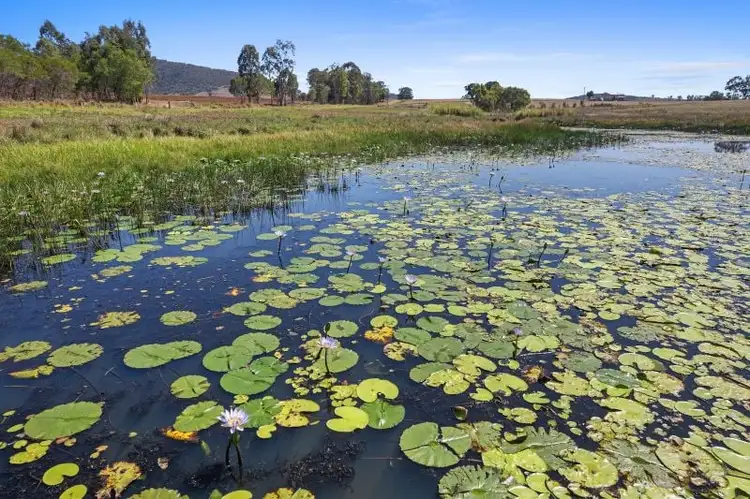 Fifth view of Homely rural property listing, Lot 2 Ironbark Ridge Road, Bauple QLD 4650
