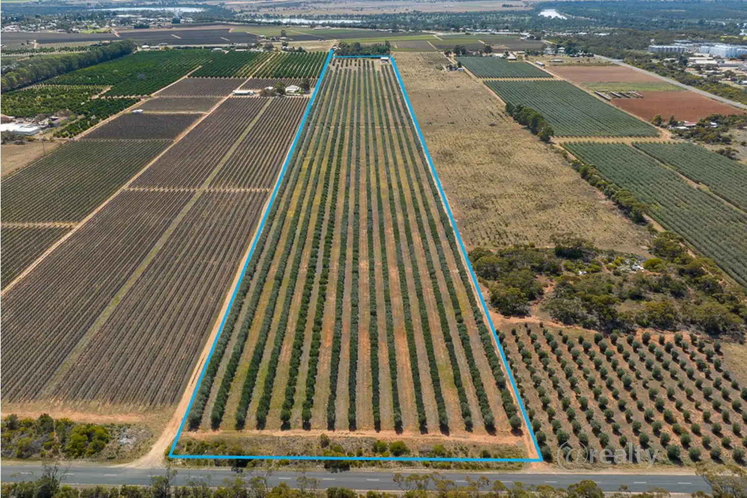 Main view of Homely rural property listing, 58 Benlow Road, Waikerie SA 5330