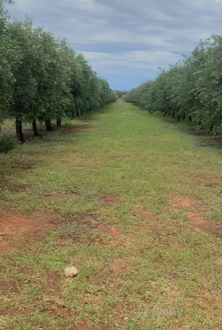 Second view of Homely rural property listing, 58 Benlow Road, Waikerie SA 5330