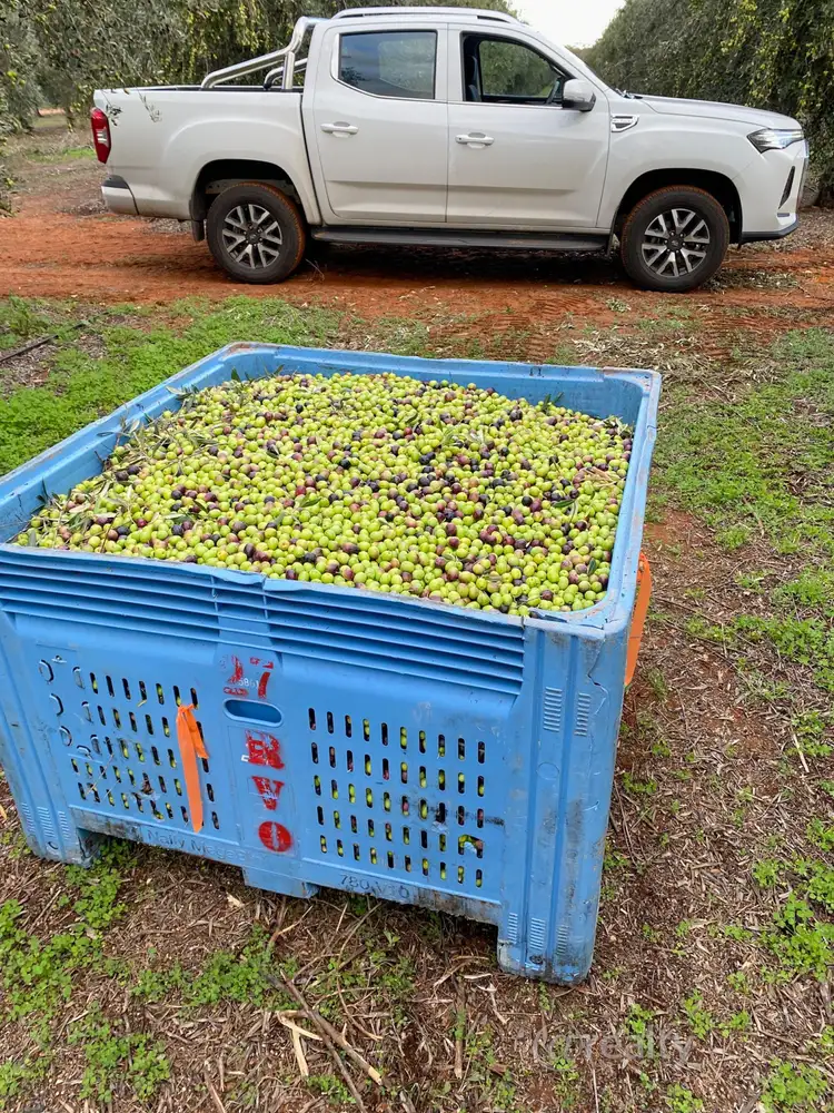 Third view of Homely rural property listing, 58 Benlow Road, Waikerie SA 5330