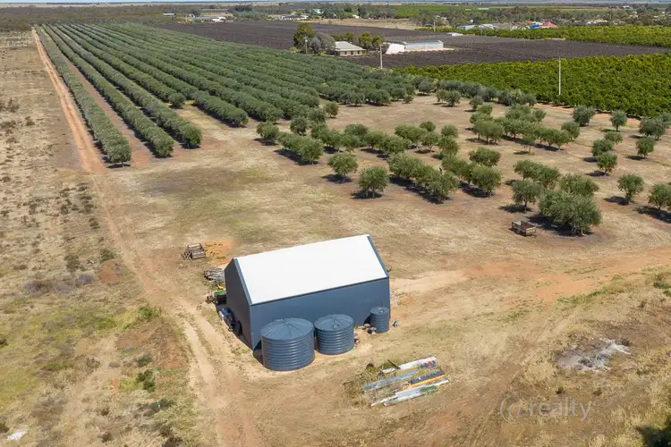 Sixth view of Homely rural property listing, 58 Benlow Road, Waikerie SA 5330