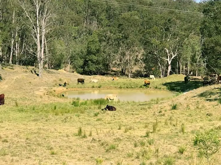 Fourth view of Homely rural property listing, 357 Anduramba Road, Crows Nest QLD 4355