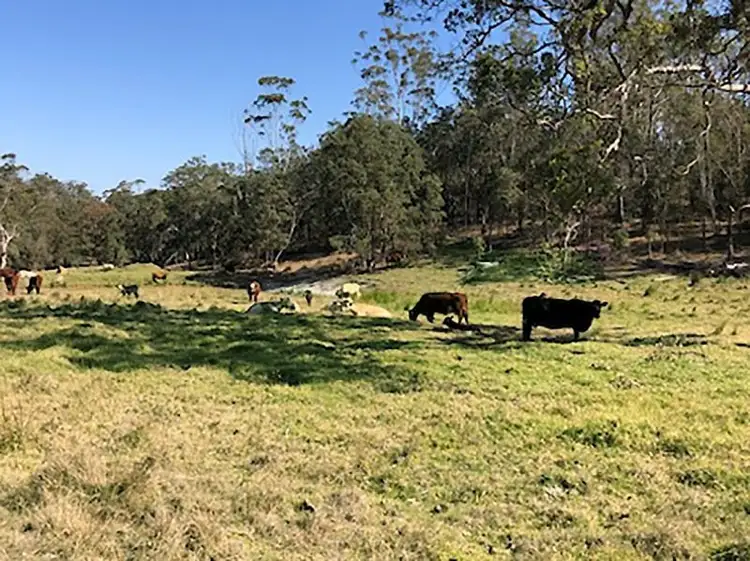 Sixth view of Homely rural property listing, 357 Anduramba Road, Crows Nest QLD 4355