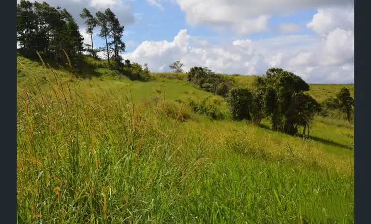 Second view of Homely rural property listing, Lot 1 Palmerston Highway, Millaa Millaa QLD 4886