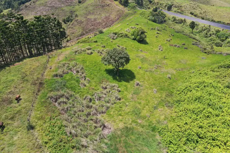 Seventh view of Homely rural property listing, Lot 1 Palmerston Highway, Millaa Millaa QLD 4886