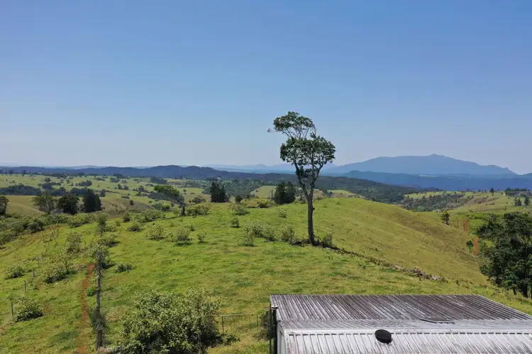 Second view of Homely land listing, 4754 Palmerston Highway, Millaa Millaa QLD 4886