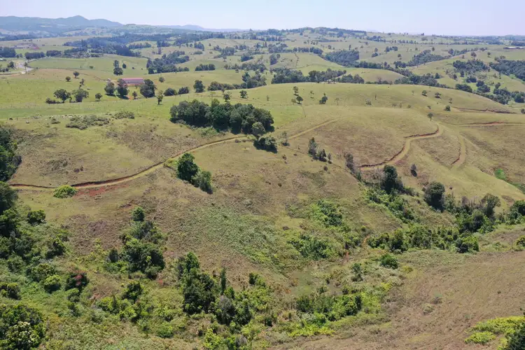 Sixth view of Homely land listing, 4754 Palmerston Highway, Millaa Millaa QLD 4886