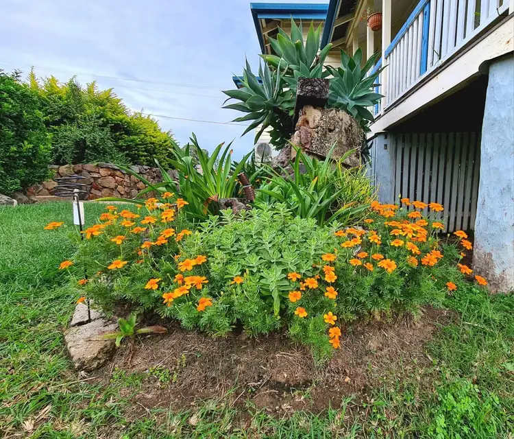 Fifth view of Homely house listing, 39 George st, Biggenden QLD 4621