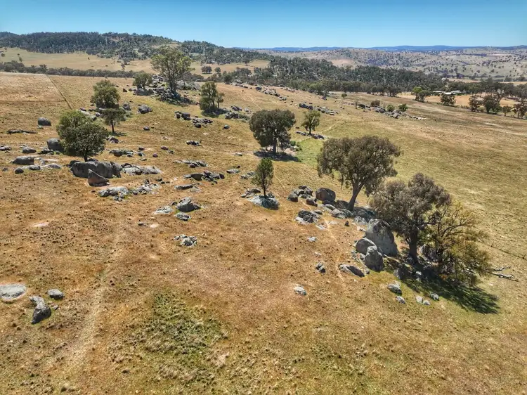 Second view of Homely rural property listing, 1432 Pine Mount Road, Darbys Falls NSW 2793