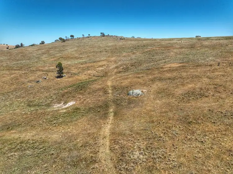 Fifth view of Homely rural property listing, 1432 Pine Mount Road, Darbys Falls NSW 2793
