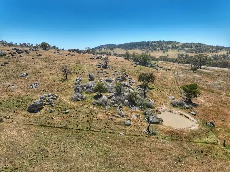 Sixth view of Homely rural property listing, 1432 Pine Mount Road, Darbys Falls NSW 2793
