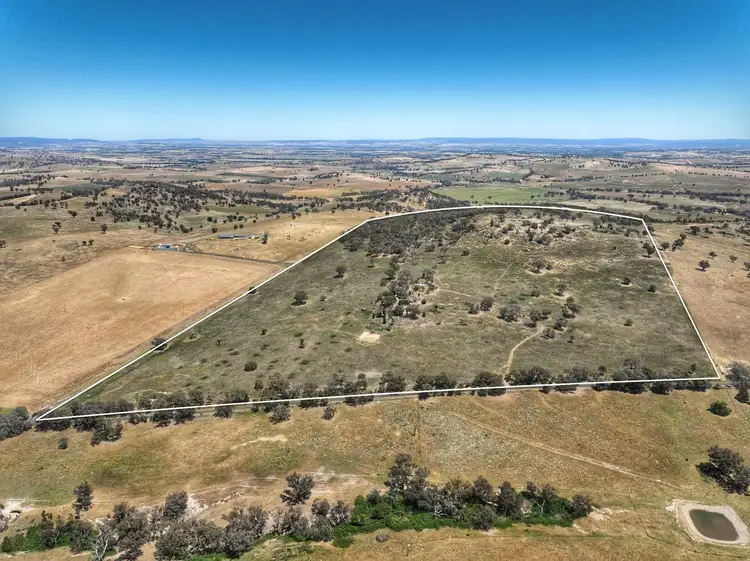 Main view of Homely rural property listing, 1294 Pine Mount Road, Woodstock NSW 2793