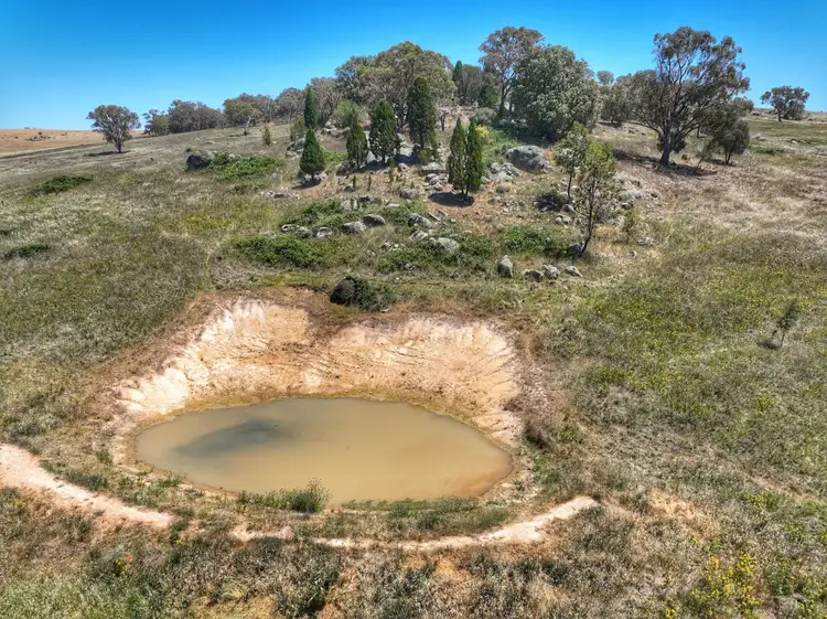 Sixth view of Homely rural property listing, 1294 Pine Mount Road, Woodstock NSW 2793