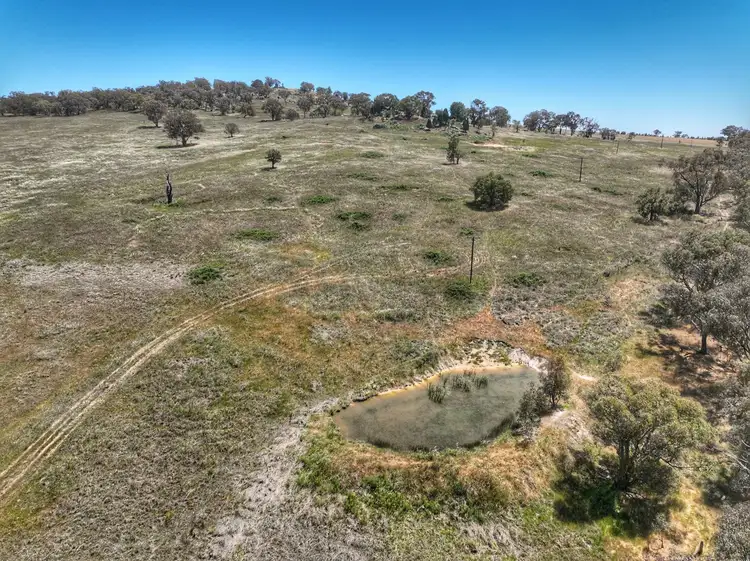 Seventh view of Homely rural property listing, 1294 Pine Mount Road, Woodstock NSW 2793