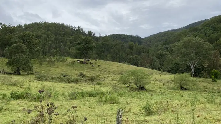 Third view of Homely rural property listing, Lots 28 & 52/2685 Enfield Range Rd, Cooplacurripa NSW 2424