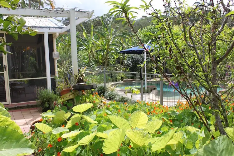 Sixth view of Homely rural property listing, 59 Killawarra Road, Lake Macdonald QLD 4563