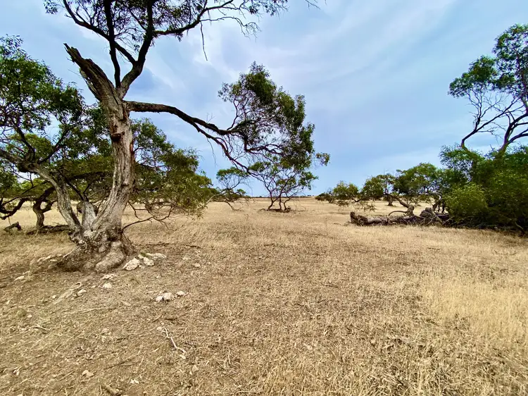 Allotments 279 to 285 Aitchison Road, Streaky Bay SA 5680