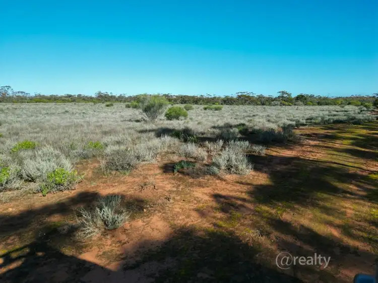 Third view of Homely rural property listing, 147 Vasey Road, Waikerie SA 5330