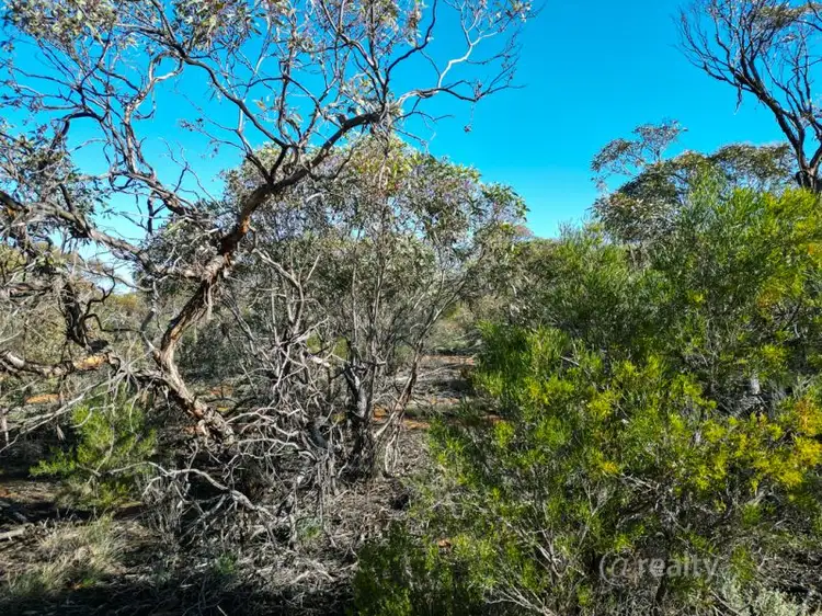 Fourth view of Homely rural property listing, 147 Vasey Road, Waikerie SA 5330