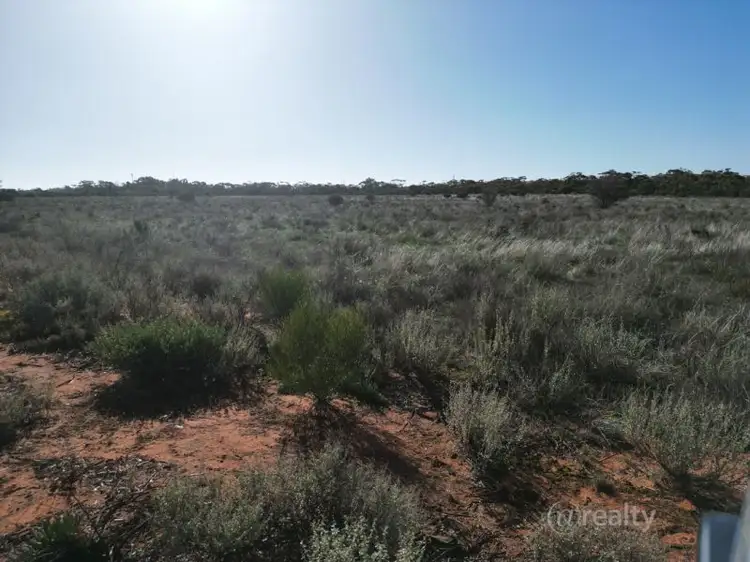 Sixth view of Homely rural property listing, 147 Vasey Road, Waikerie SA 5330