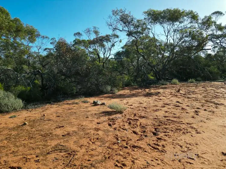 Seventh view of Homely rural property listing, 147 Vasey Road, Waikerie SA 5330