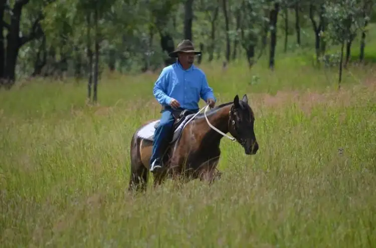 Sixth view of Homely rural property listing, 1261 Runnymede Road, Runnymede QLD 4615