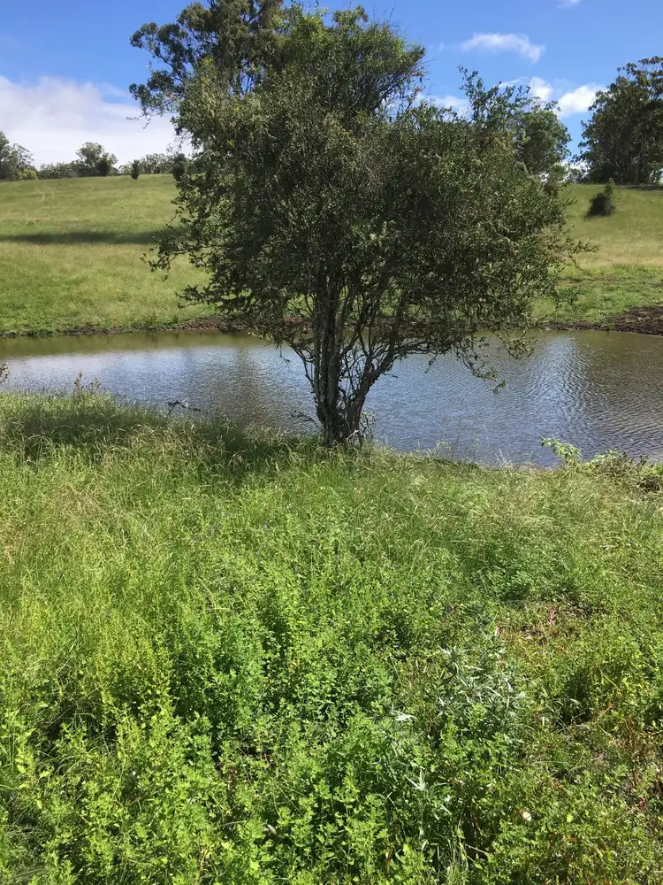 Fifth view of Homely land listing, Address available on request