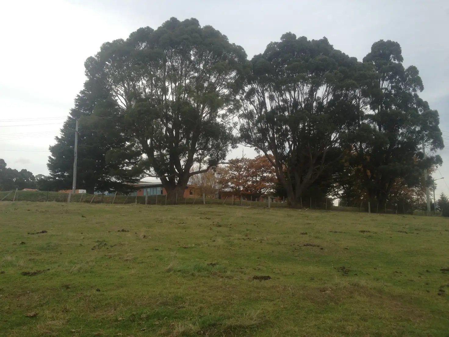 Main view of Homely land listing, Lot 2/38-42 Gardiners Creek Road, St Marys TAS 7215