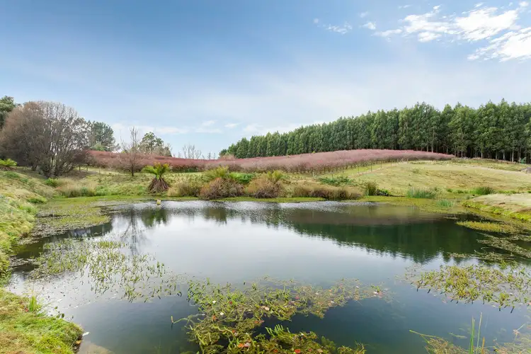 524 Golconda Road, Lilydale TAS 7268