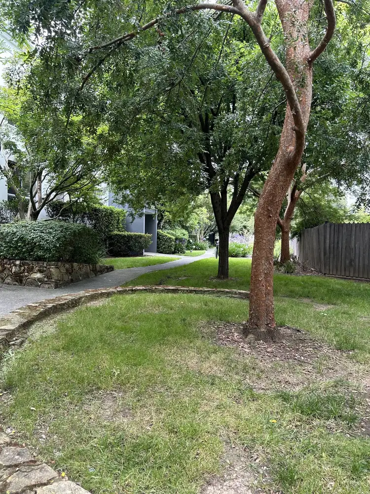 Second view of Homely apartment listing, 11/36 Morell close, Belconnen ACT 2617