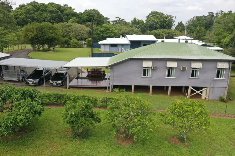 Third view of Homely house listing, 47 Palm Avenue, Millaa Millaa QLD 4886