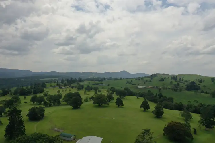 Fourth view of Homely house listing, 47 Palm Avenue, Millaa Millaa QLD 4886