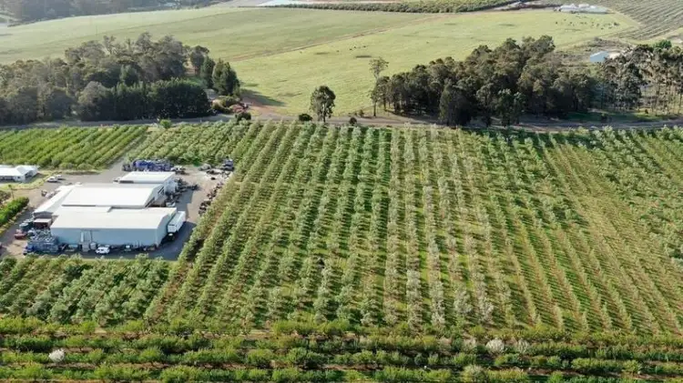 595 Seven Day Road, Jardee WA 6258
