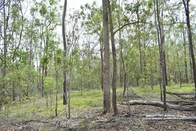 Fifth view of Homely rural property listing, Lot 1 Maryborough Biggenden Rd, Aramara QLD 4620