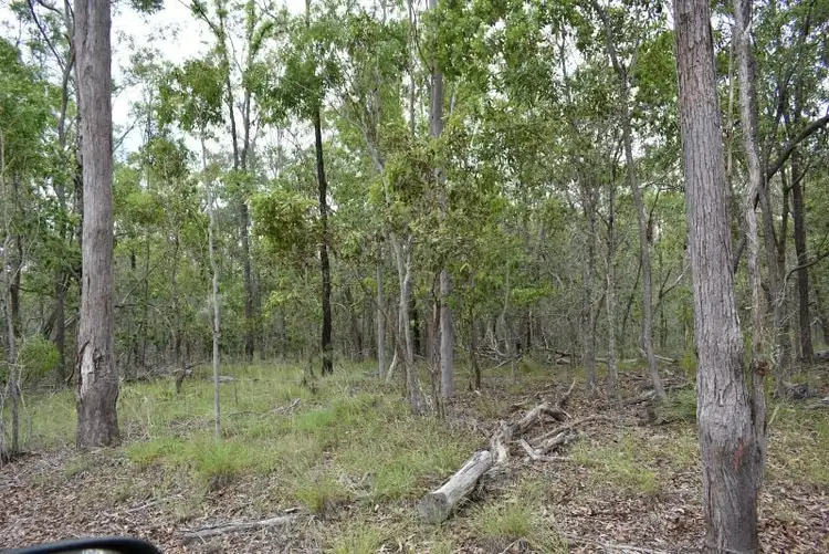 Seventh view of Homely rural property listing, Lot 1 Maryborough Biggenden Rd, Aramara QLD 4620